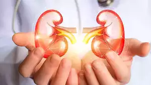 Doctors’ Tips On Dialysis During Kidney Failure