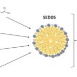 Supplementation strategies that aim at improving the bioavailability of Supplements