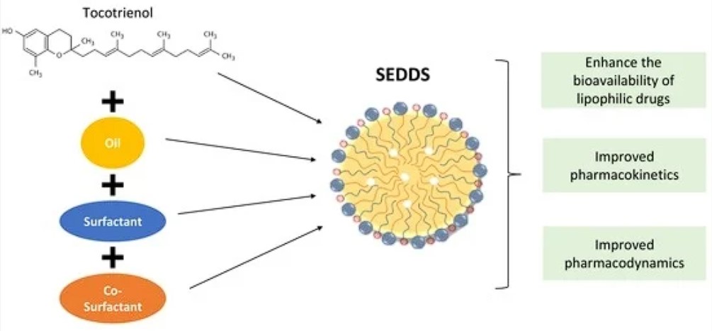 Supplementation strategies that aim at improving the bioavailability of Supplements